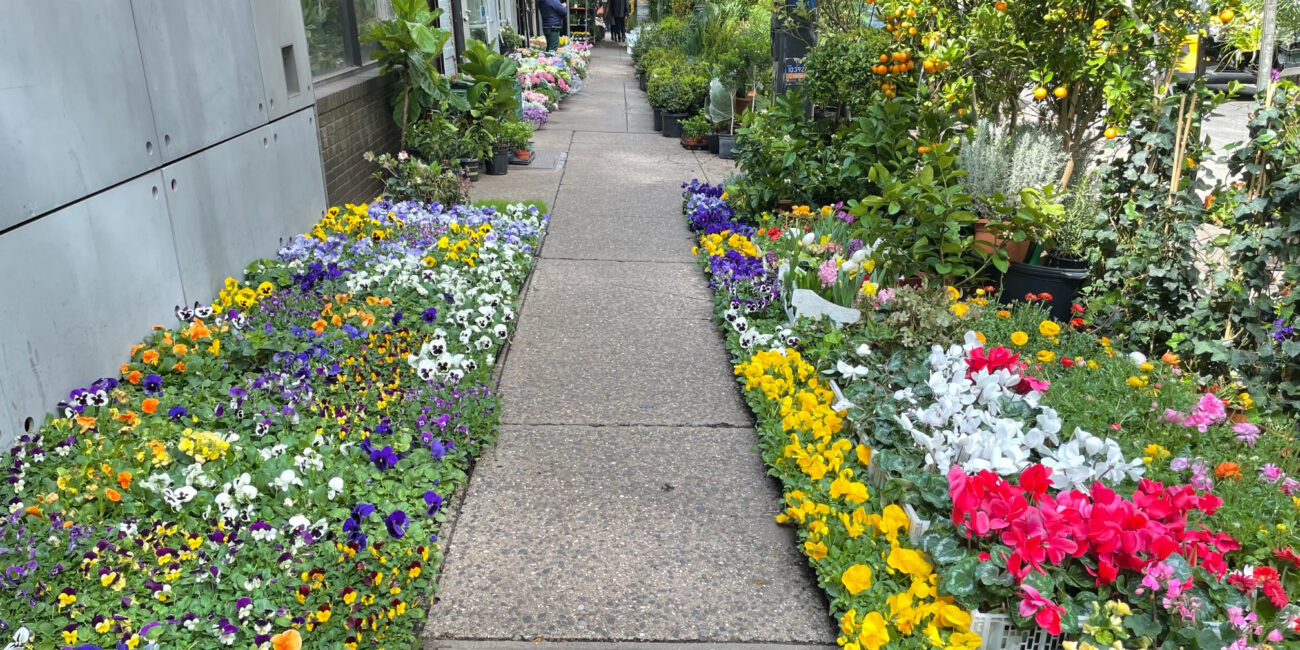 Flowers in the floral district are shown on the sides of a walkway.