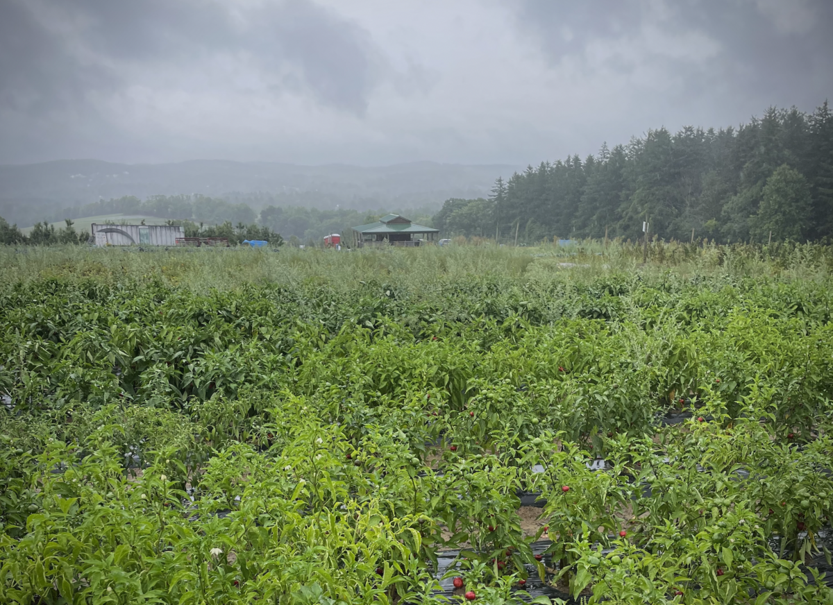 An upstate New York Farm is shown under overcast skies.