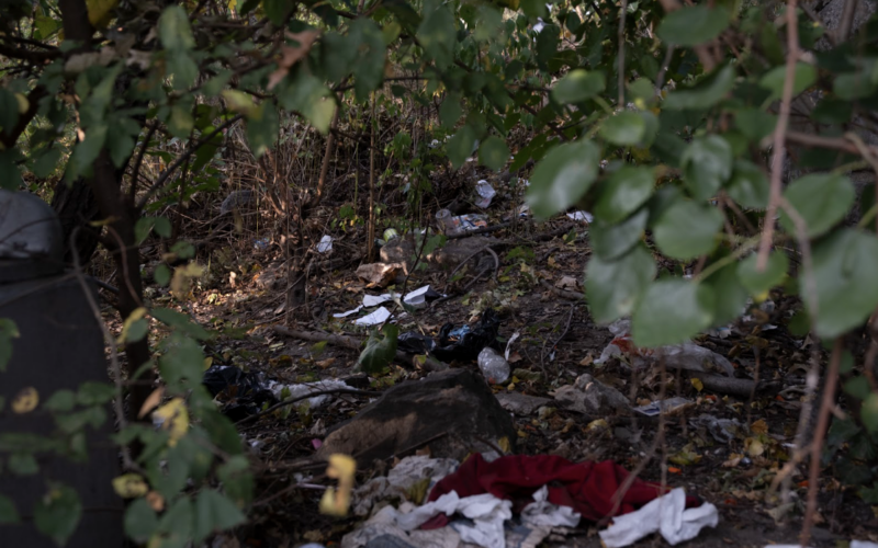 Deep in Marcus Garvey Park, Harlem, New York City, NY, in September, piles of trash could be found at every turn. (Credit: Duaa E Zahra Shah)