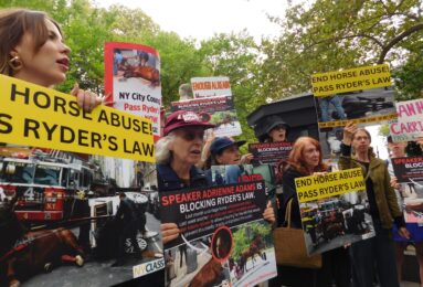 Animal rights protesters demonstrate outside City Hall on Sept. 10. (Credit: Aleah Gatto)