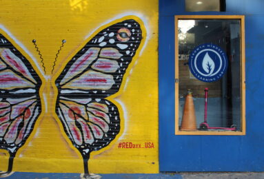The exterior of Growth Mindset Learning Lab in Fort Greene, where nearly all families depend on city and state vouchers to manage the cost of childcare. (Credit: Allie Moustakis)