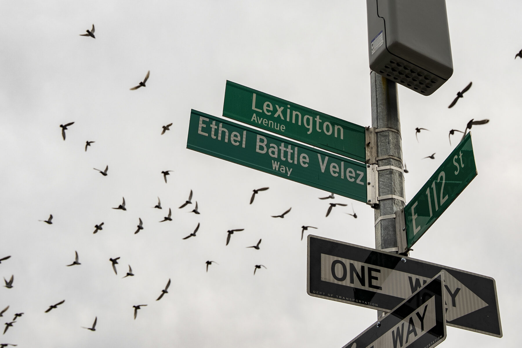 Ethel Battle Velez Way Street Sign. (Credit: Max Rykov)