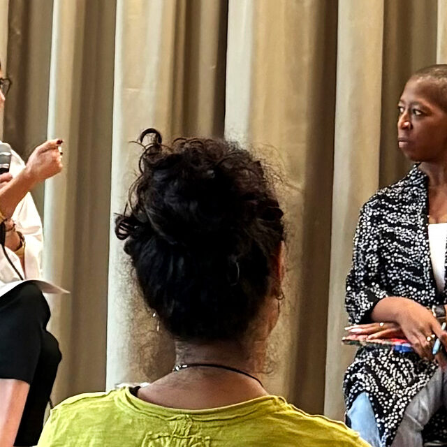 Stand Up for Science CEO, Dr. Colette Delawalla with panelists Dr. Ticora Jones and Dr. Michael Mann. (Credit: Maddie Hengerer)