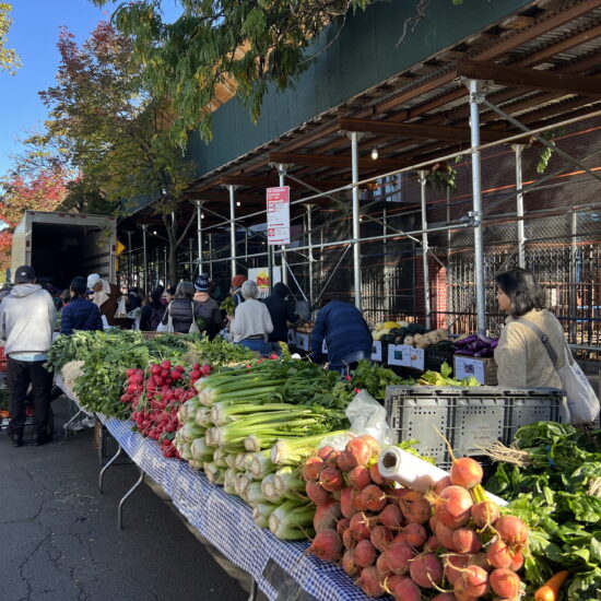 The Jackson Heights Greenmarket, organized by Grow NYC, takes place every Sunday. New Yorkers can use benefits, such as SNAP and WIC, to purchase eligible grocery items. (Credit: Whitney Lynn)
