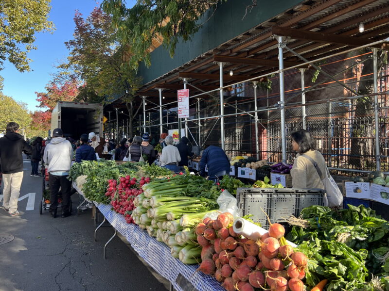 The Jackson Heights Greenmarket, organized by Grow NYC, takes place every Sunday. New Yorkers can use benefits, such as SNAP and WIC, to purchase eligible grocery items. (Credit: Whitney Lynn)